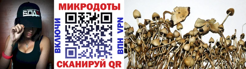 blacksprut зеркало  магазин продажи   Харовск  Псилоцибиновые грибы MAGIC MUSHROOMS 